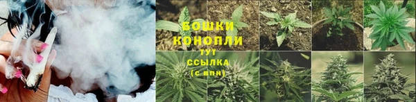 сатива Волоколамск