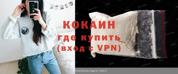 сатива Волоколамск