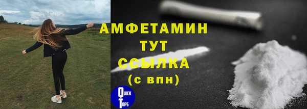 сатива Волоколамск