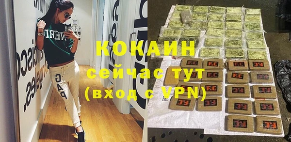 сатива Волоколамск
