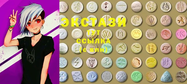 шишки Коряжма