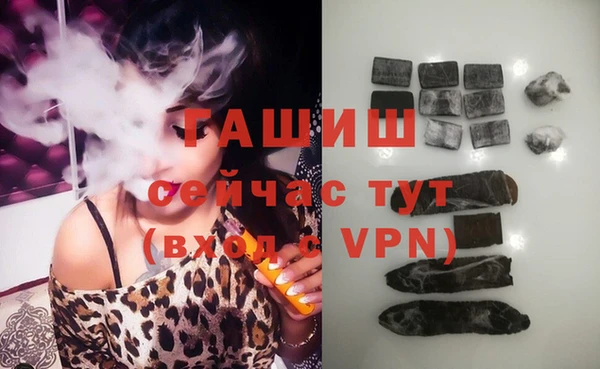 сатива Волоколамск